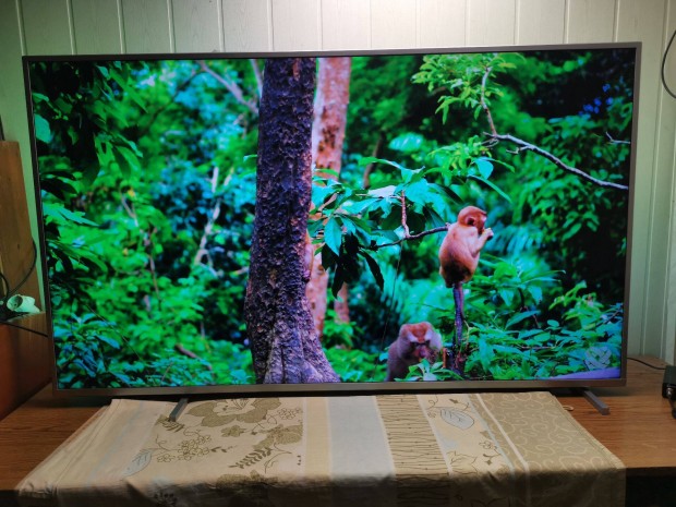 Philips 165cm, 4K, Ambilight, Wifi, Youtube, Androidos Smart Led Tv