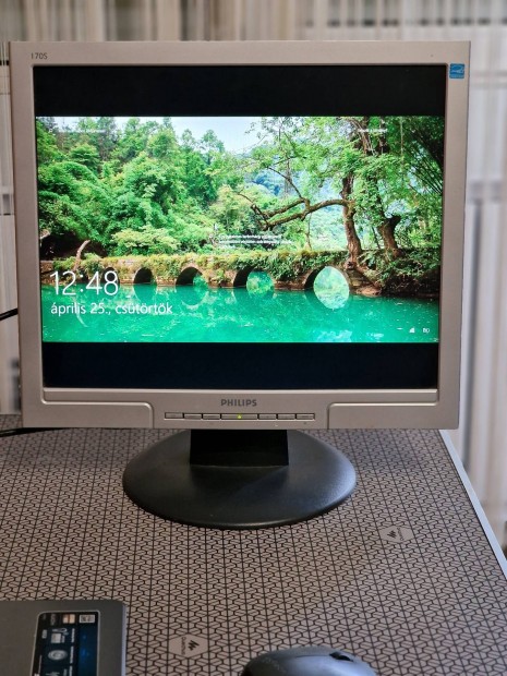 Philips 170S monitor