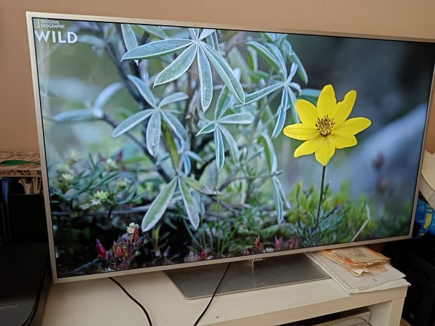 Philips 55"-os (140cm) UHD, 4K, Smart LED TV