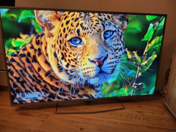 Philips Smart TV 139cm Android / Gynyr kp 