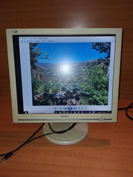 Philips monitor elad