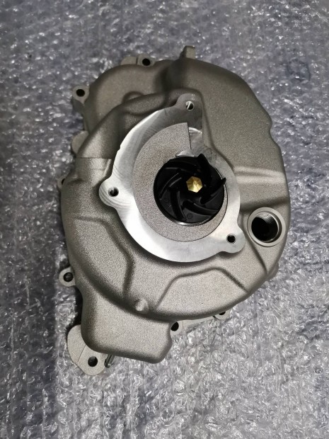Piaggio 250 4t Vzpumpa komplett  