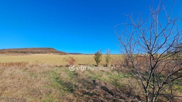 Pilisborosjen�i 23925 nm-es telek elad�