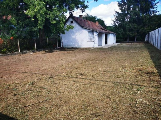 Pilisi 50 nm-es h�z elad�