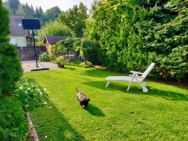 Pilisj�szfalun csal�di h�zas k�rnyezetben, nem a lak�parkban, ...