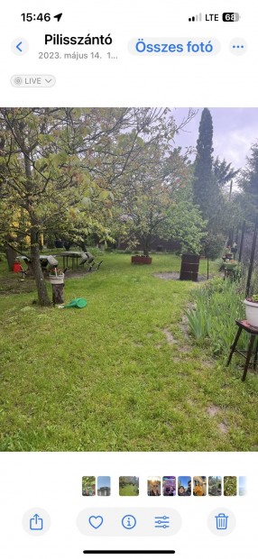 Pilisszántó Placskón két egymás melletti telek eladó
