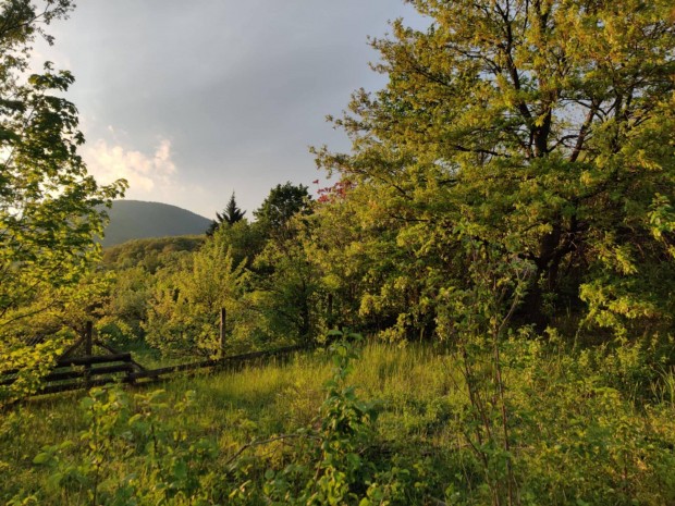 Pilissznti telek