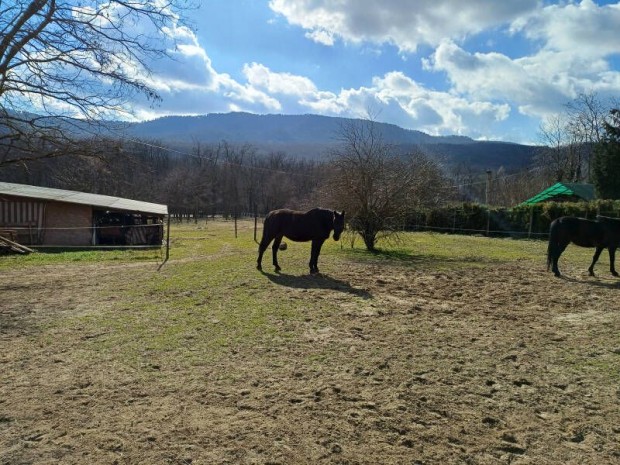 Pilisszentiv�non elad� egy 4180 nm-es, enyh�n lejt�s, panor�m�...