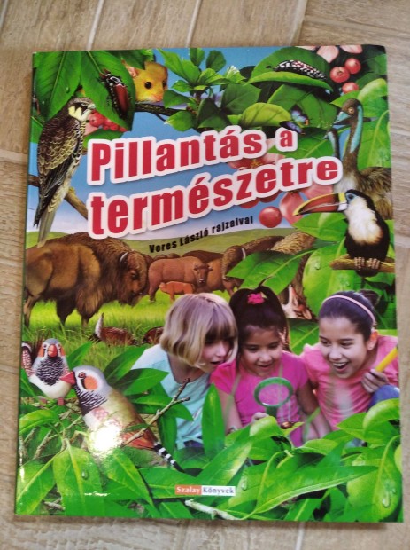 Pillants a termszetre