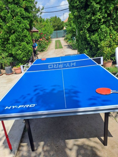 Ping Pong asztal elad