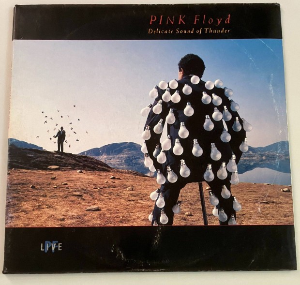Pink Floyd - Delicate Sound of Thunder (nmet)