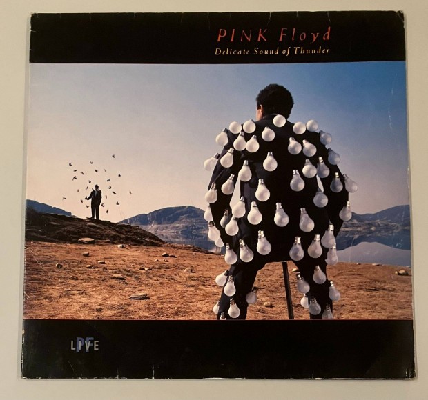 Pink Floyd - Delicate Sound of Thunder (nmet)