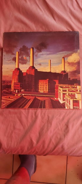 Pink Floyd bakelit lemez elad