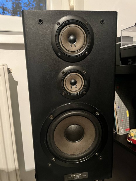 Pioneer CS-301 hangfal pr