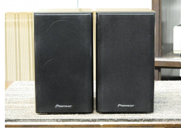 Pioneer S-CN301-LR hangsugrz pr