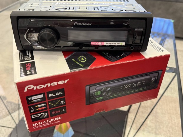 Pioneer fejegység