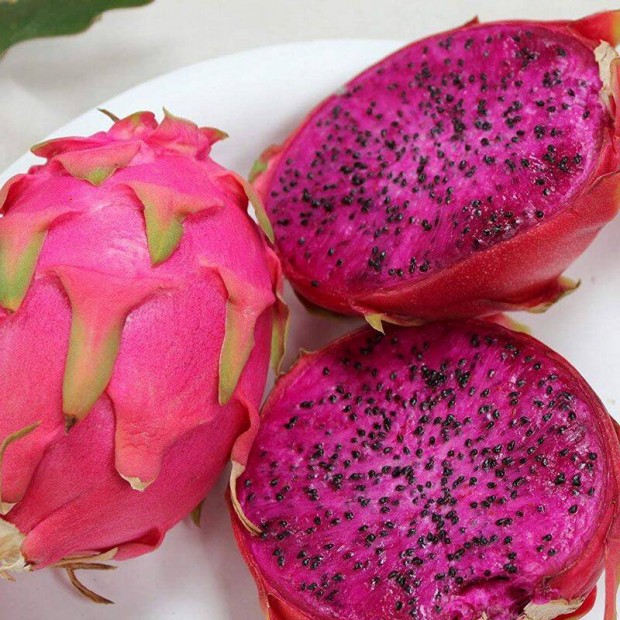 Pitaya srknygymlcs oltvny elad