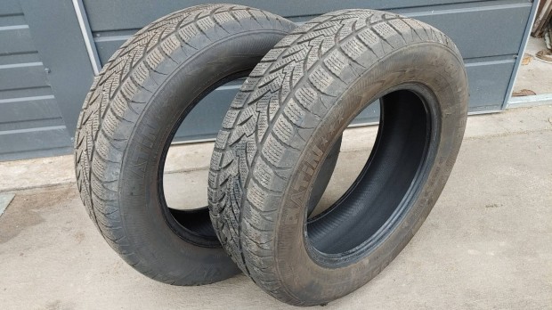 Platin 195/65R15 tligumik