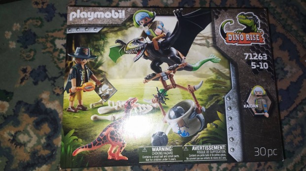 Playmobil Dino Rise 71263 Dimorphodon