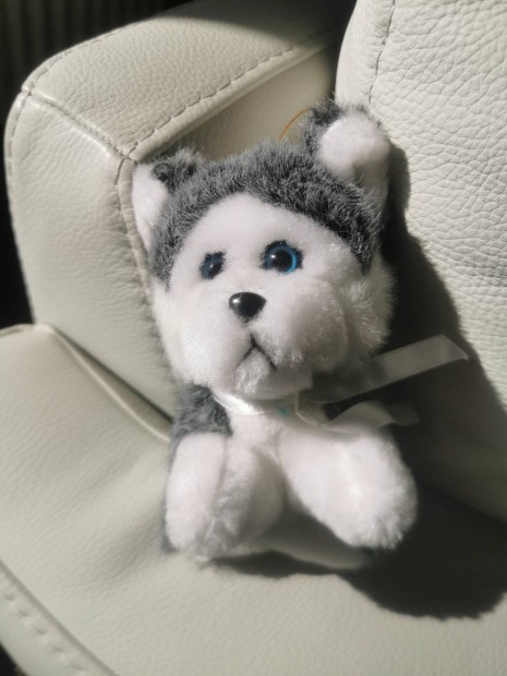 Pl�ss kutya, Husky, �j, c�mk�s