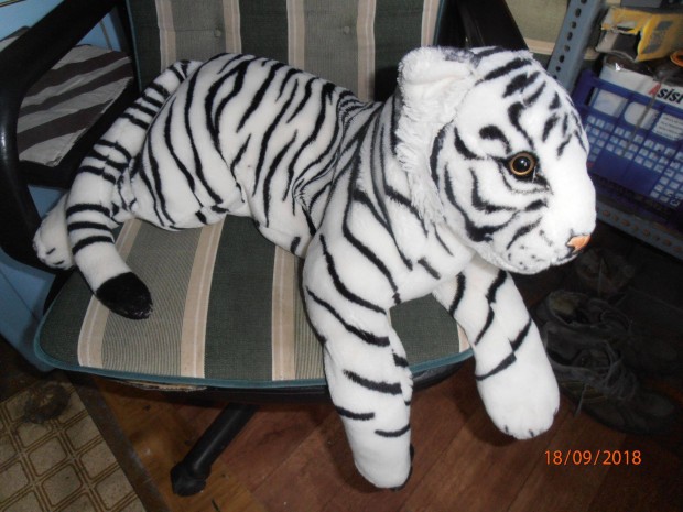 Plss tigris kabala