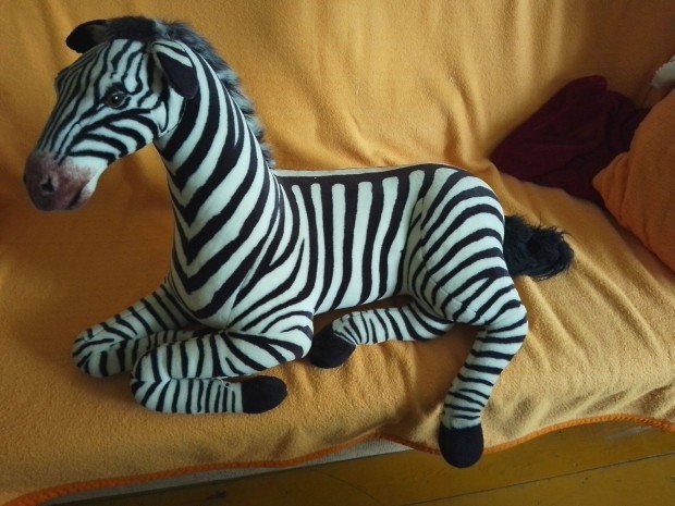 Plss zebra elad