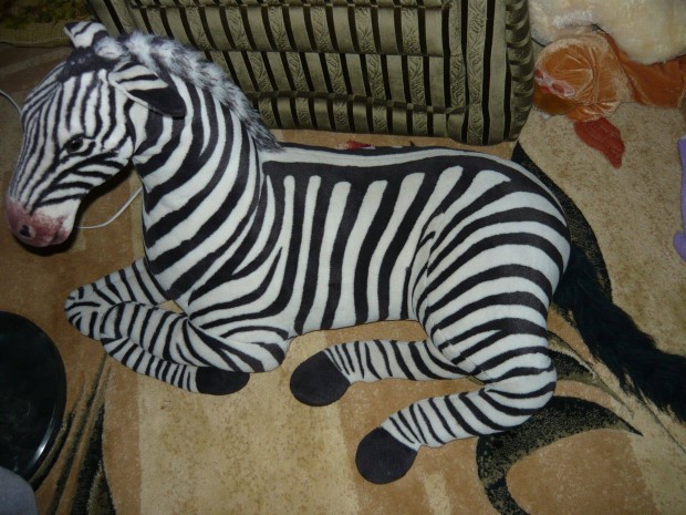 Plss zebra nagy