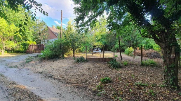 P�csmegyer, Sur�ny II-ben, Cseresznye utca 4. sz�m alatt telek elad�