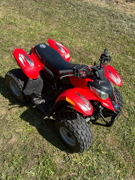 Polaris Predator 50 Quad