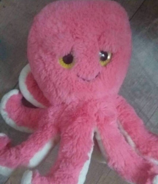 Polip ,octopus plss figura 