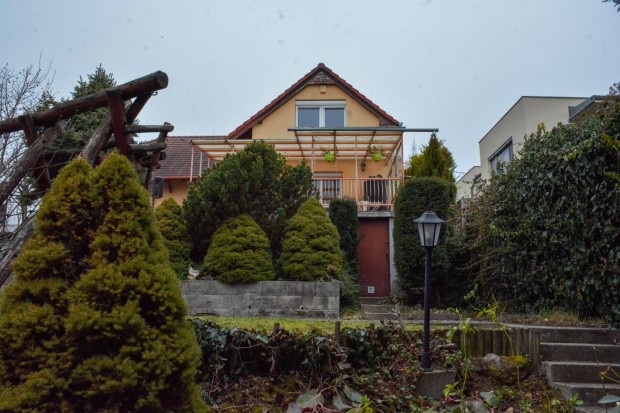 Pom�z legszebb r�sz�n 2 lakr�szes csal�di h�z + �zlethelyis�g elad�