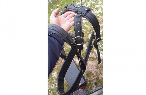 Pni lszerszm 120cm