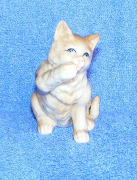 Porceln cica figura