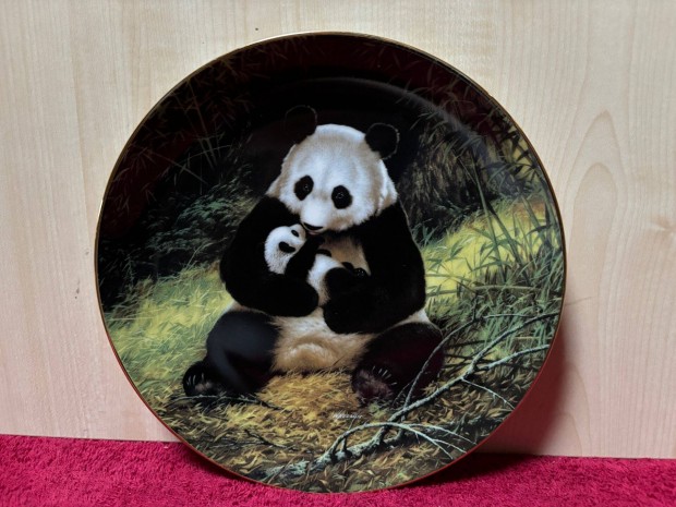 Porceln panda macis dsztnyr