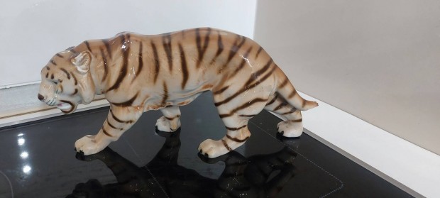 Porceln tigris