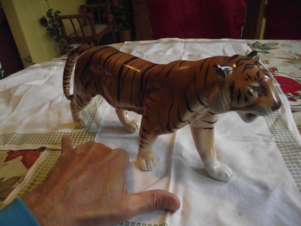 Porceln tigris