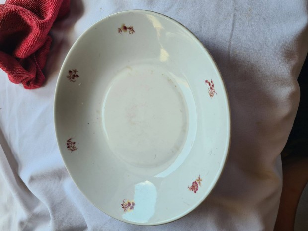 Porcelntnyr virgmints