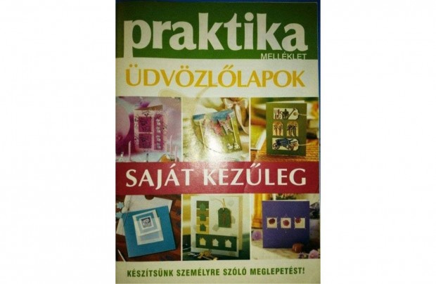 Praktika mellklet dvzllapok (Sajt kezleg sorozat)