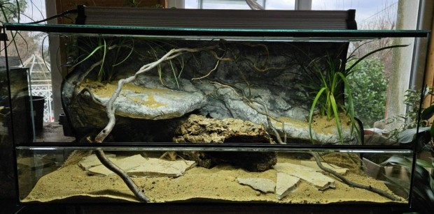 Prmium terrrium