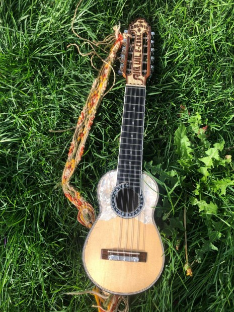 Professional concert Charango