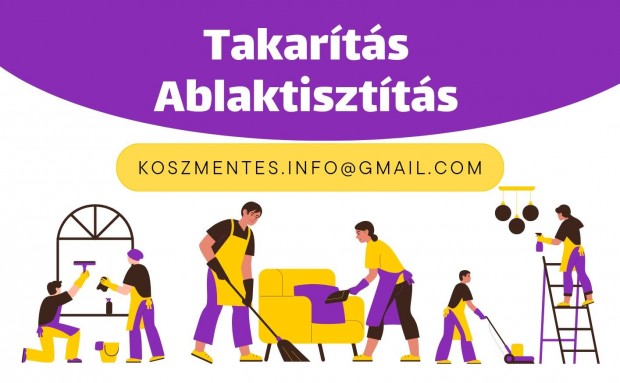 Professzionlis Takarts, Ablaktisztts