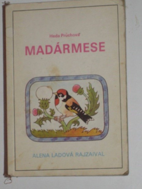 Pruchova Madrmese