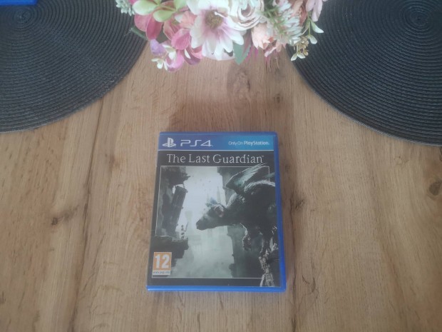 Ps4 Playstation 4 The Last Guardian Jtklemez 