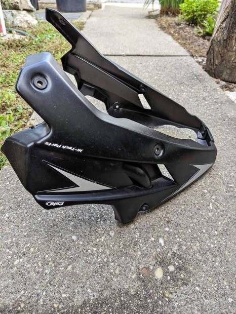 Puig hasidim Kawasaki Z900