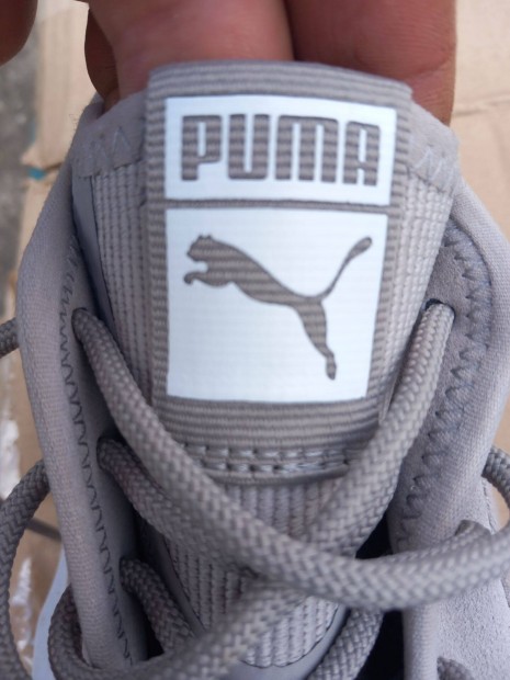 Puma sporcip