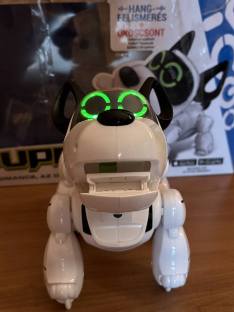 Pupbo robot kutya