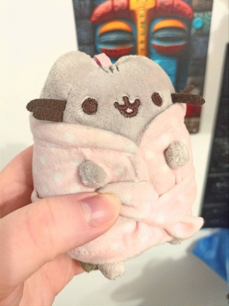 Pusheen plss