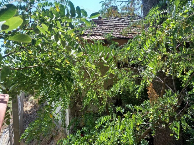 Pusztamonostoron elad� egy 1439 nm-es �p�t�si telek.