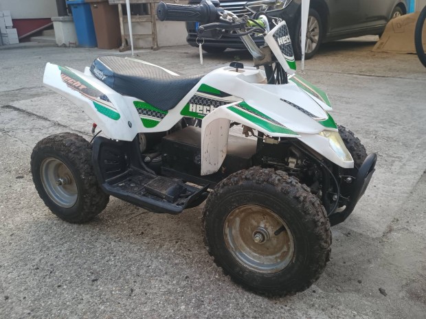 Quad Hecht 36V 800W 