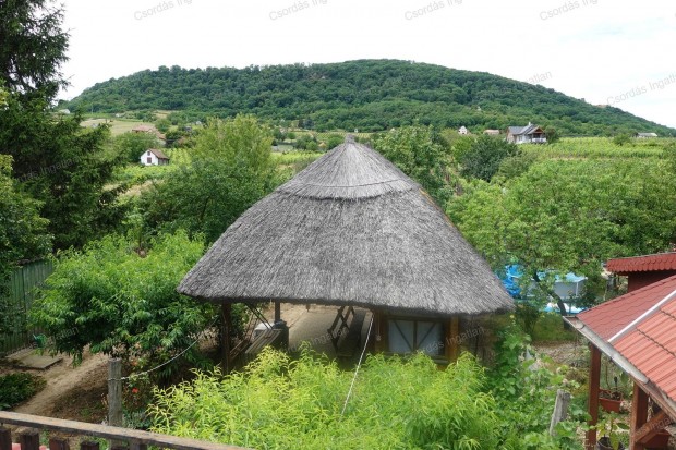 REMEK �LLAPOT�, 2,5 szob�s NYARAL� BOROSPINC�VEL, nagy telekkel elad�